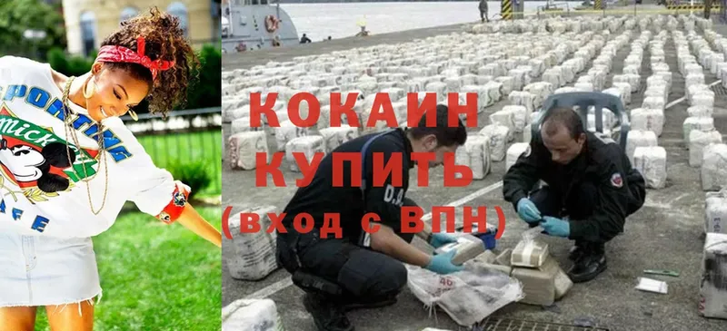 дарк нет формула  MEGA вход  Санкт-Петербург  Cocaine Fish Scale 