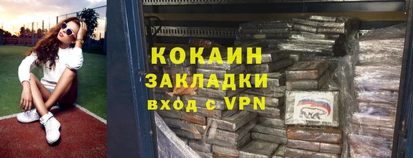 прущие грибы Волоколамск